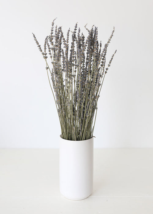 Dried Lavender Wildflower Bundle - 15-22" Tall